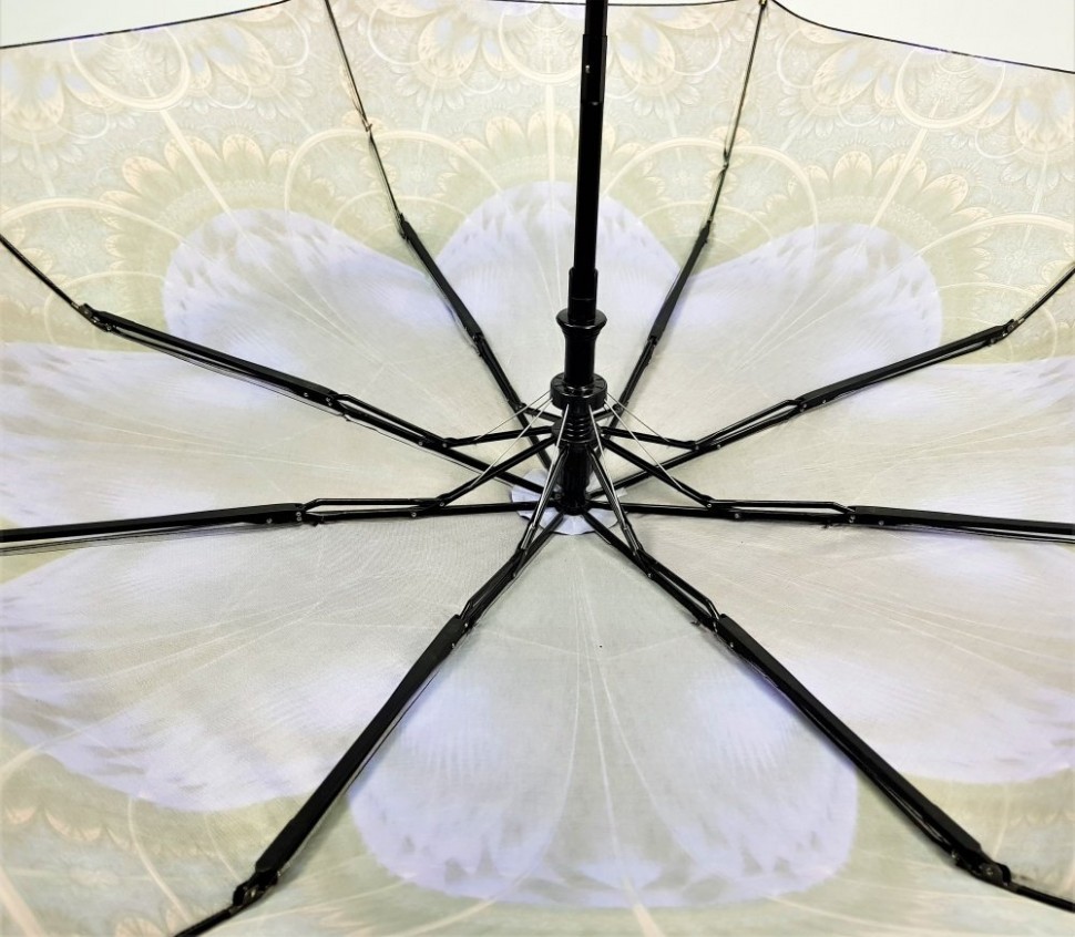 Зонт женский DINIYA арт.162 полуавт 23(58см)Х8К